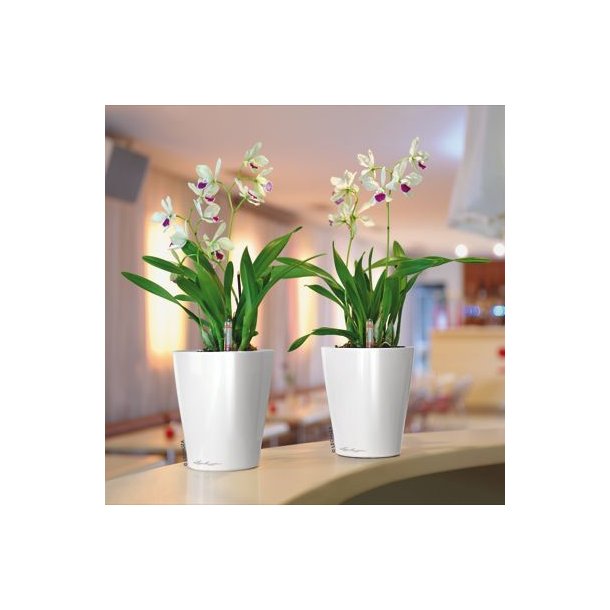 Lechuza  Deltini indendørs krukke til blomster med selvvandingssystem 19 