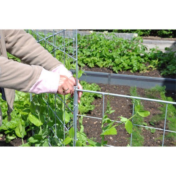 Espalier i rust 91 x 105 cm