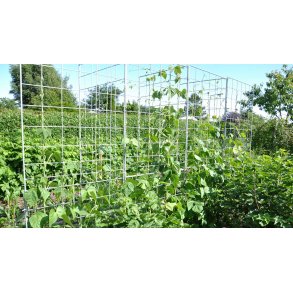 Trellis galvanized 91x105 cm