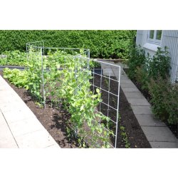 Espalier i rust 91 x 105 cm