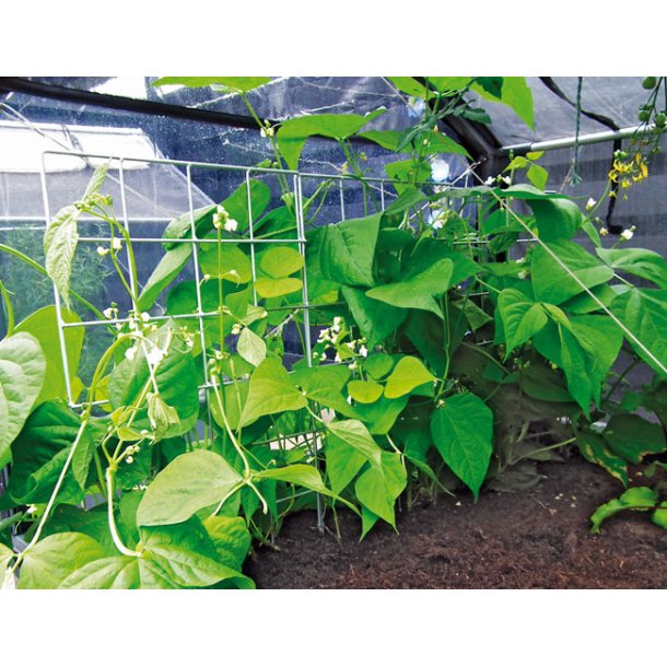 Trellis galvanized 40x80 cm