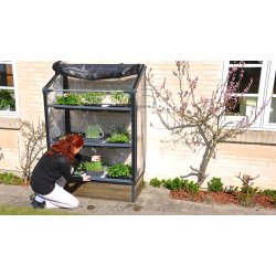 GrowCamp Drivhus 0,7 m2 HJ vgbed - Sibirisk lrk 