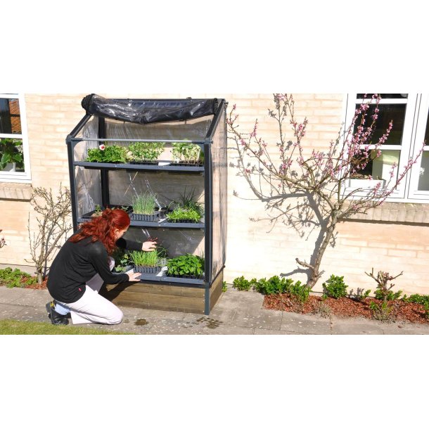 GrowCamp Drivhus 0,7 m2 HJ vgbed - Sibirisk lrk 