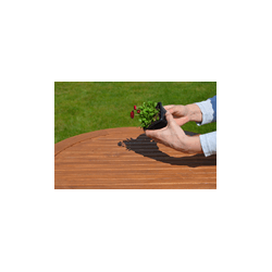 Potte i PVC 7x7 cm. 25 stk. til forspriring