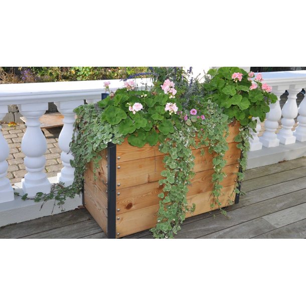 Hjbed i sibirisk lrk 60x90x44 cm