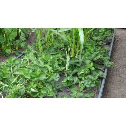 Extension in PVC 30x120x120 cm