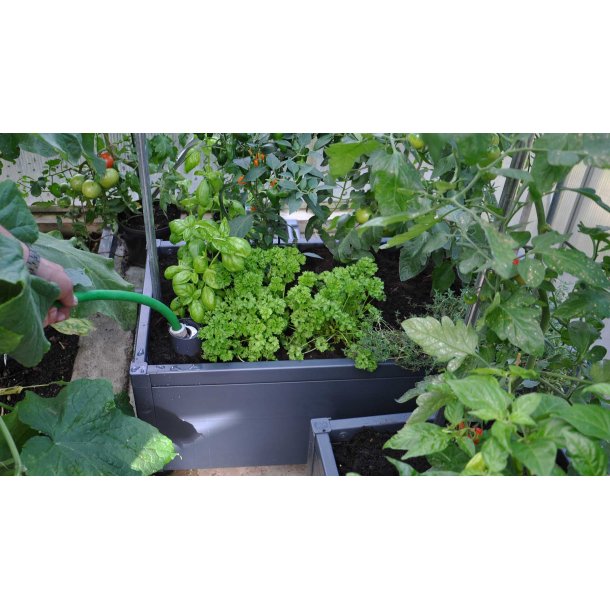 Raised bed in PVC 30x90x44 cm