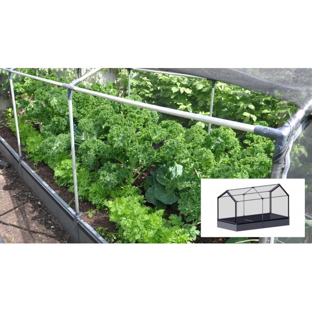 Tunnel Raised Bed - PVC 30x120x240 cm