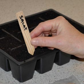 Plantelabel TR - 24 stk.