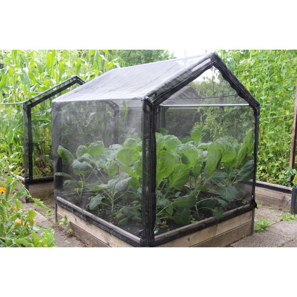 Side i insektnet til tunnel hjbed 120x120 cm