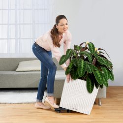 Lechuza - Hjulst (Cube, Classico, Canto, Puro)