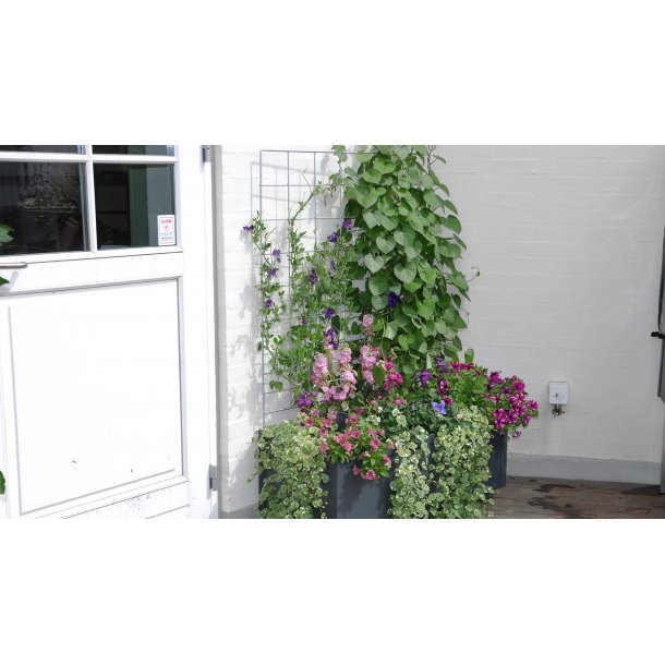 Trellis galvanized 91x105 cm