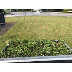 Espalier i rust 91 x 105 cm