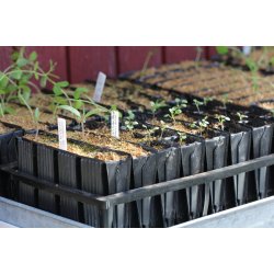 Indsats DEEP - 4 celler til Roottrainer (Grn)