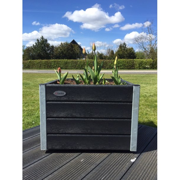 Blomma Pumpar Med Hjul. Galv. H&ouml;rn (Quad.)