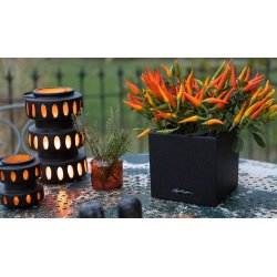 Lechuza Canto Stone 14 indendrs krukke til blomster med selvvandingssystem 