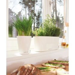 Lechuza Mini Deltini indendrs krukke til blomster med selvvandingssystem 13 