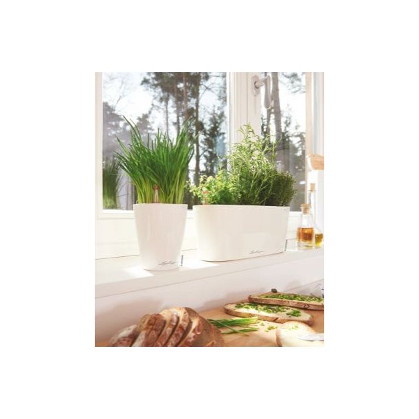 Lechuza Mini Deltini indendrs krukke til blomster med selvvandingssystem 13 