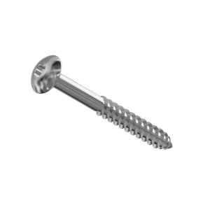 Fransk Skrue 10 X 70 Torx 50 Rf