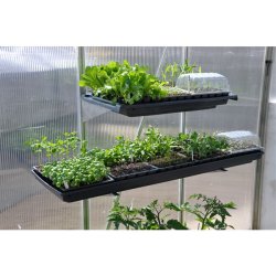 Hyldekngte 2 stk. pr. st