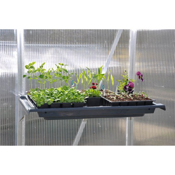 Hyldekngte 2 stk. pr. st