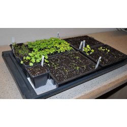 Lille plantebakke med vandingsriller