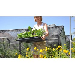 Lille plantebakke med vandingsriller