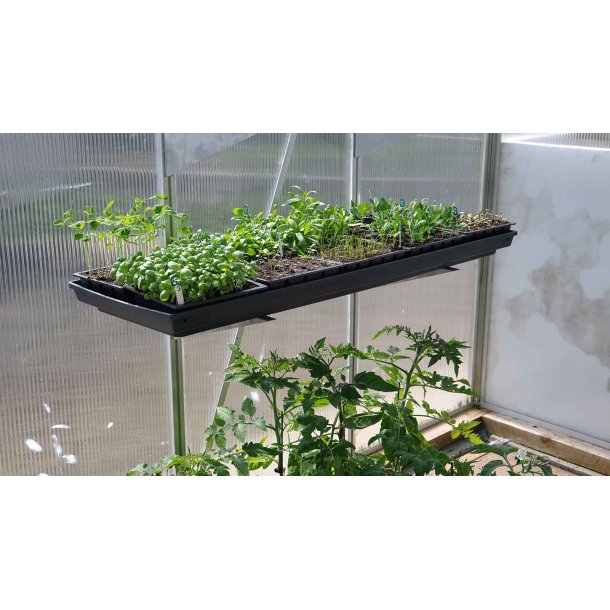 Stor plantebakke med vandingsriller