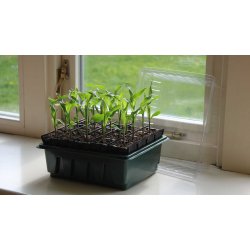 Roottrainer COMPACT set