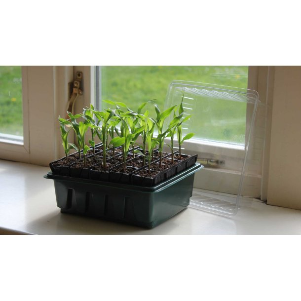 Roottrainer COMPACT set