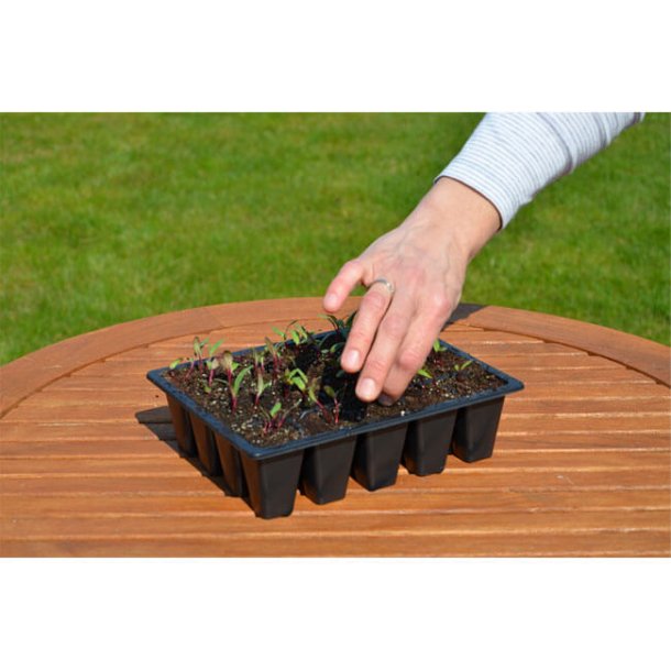 Bakke i PVC med 20 celler til forspiring - 5 stk.