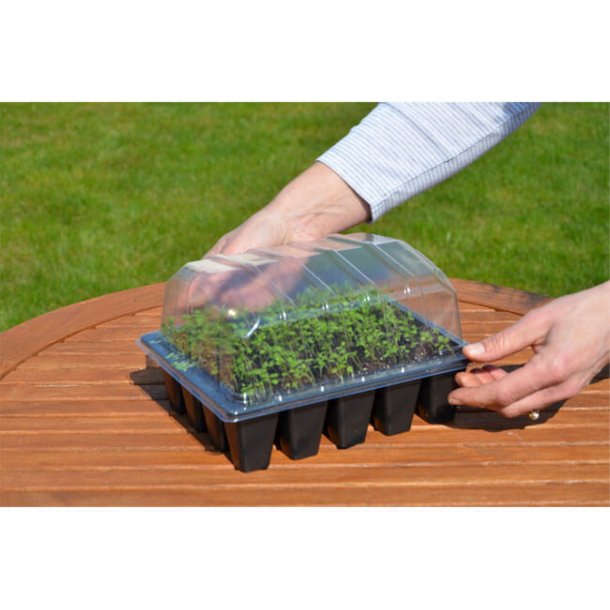 Lid for germination trays, 5 pcs.