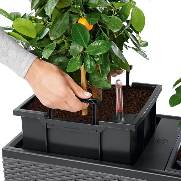 Lechuza  Trio Cottage udend�rs krukke til blomster med selvvandingssystem 