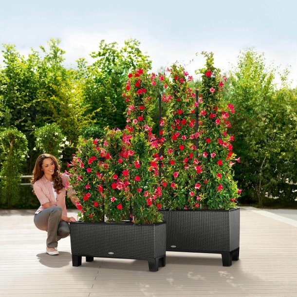 Lechuza  Trio Cottage udendørs krukke til blomster med selvvandingssystem 