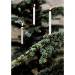 Italienske kirke lys, hvide, 1,3 cm x 13 cm.