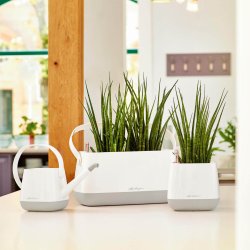 Lechuza Yula vandkande 22 cm