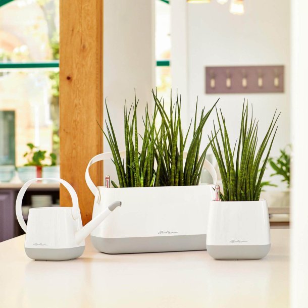 Lechuza Yula vandkande 22 cm