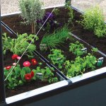 Grow Tray