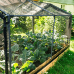 Tunnel to own raised beds