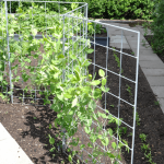 GrowNet/binding tubes