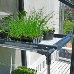 Plant Tray