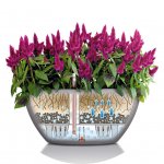 Självvattnande krukor