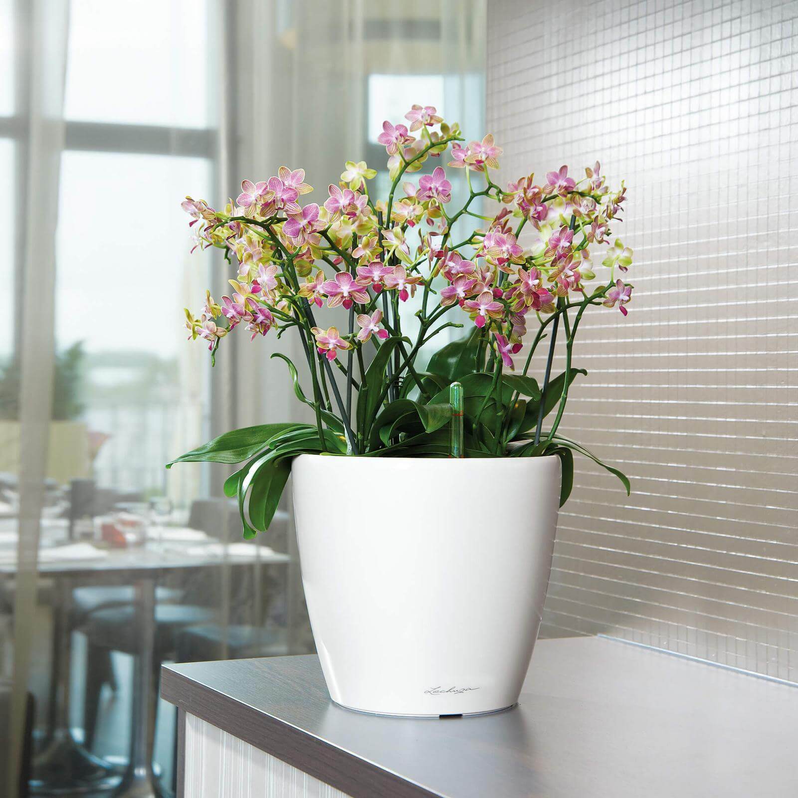 Lechuza Classico Premium LS indendørs krukke til blomster med selvvandingssystem  Hvid Højglans Ø28 x H26 cm