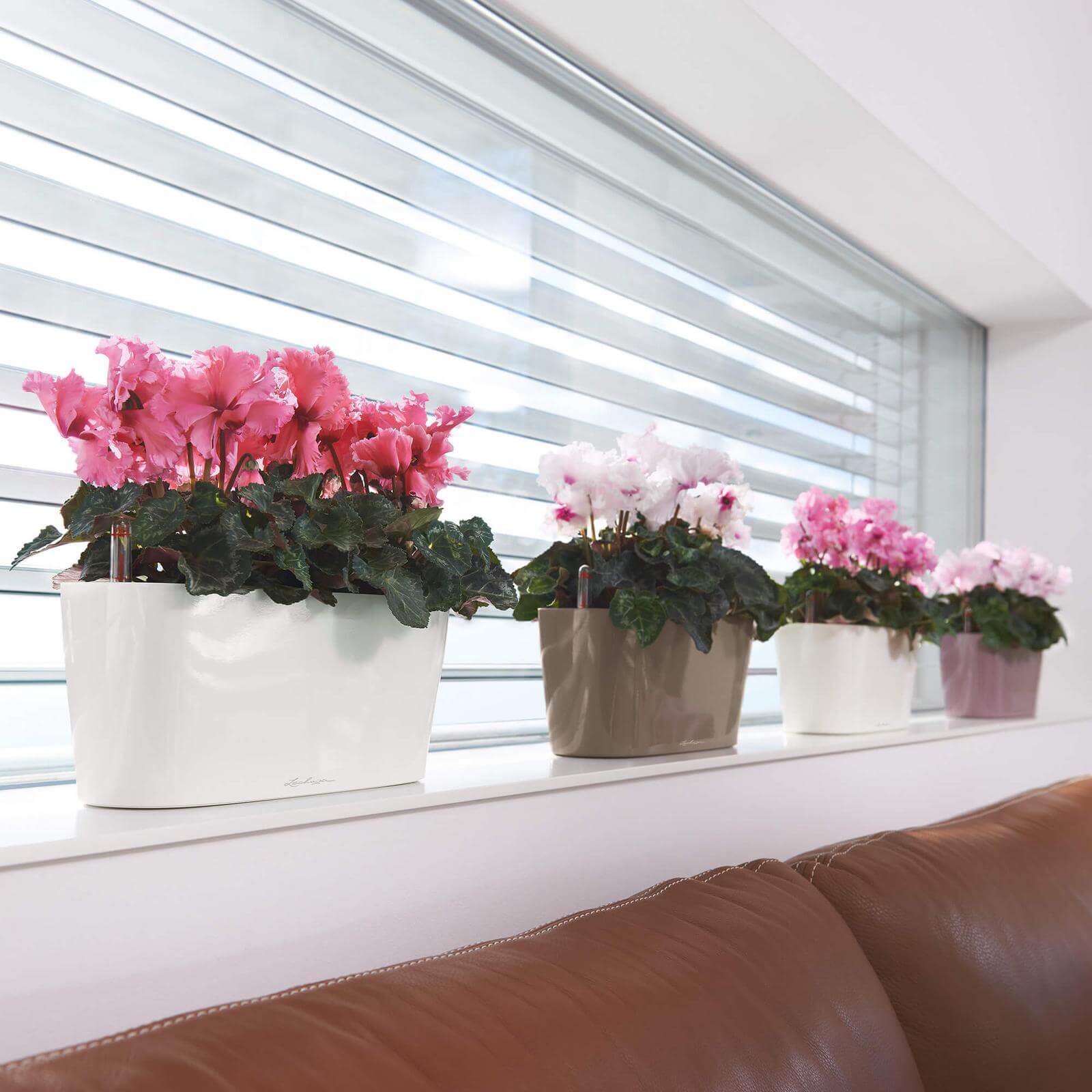 Se Lechuza Delta 10 indendørs krukke til blomster med selvvandingssystem 13 Hvid Højglans hos InGarden.dk