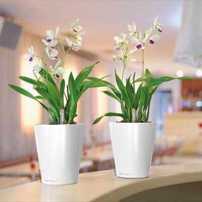 Billede af Lechuza Deltini indendørs krukke til blomster med selvvandingssystem 19 Hvid Højglans